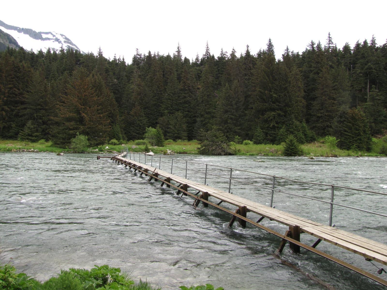 fish weir haines